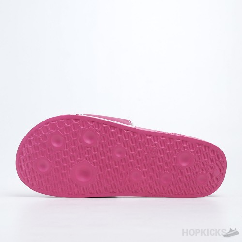Leadcat Pink Slides